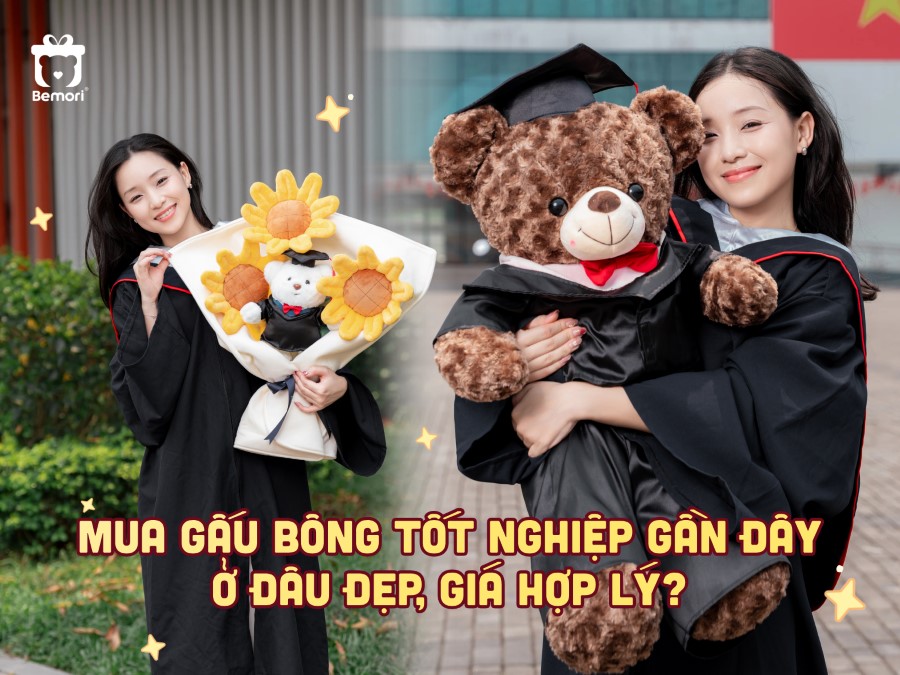 Mua Gấu Bông Tốt Nghiệp Gần Đây Ở Đâu Đẹp, Giá Hợp Lý
