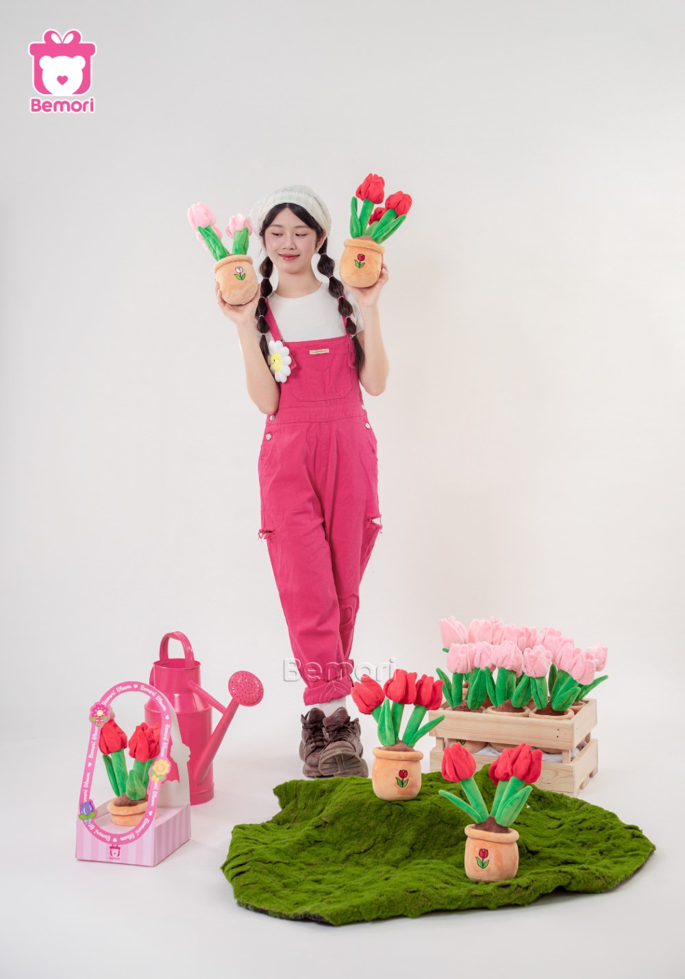 Một chậu hoa bông mang cả mùa xuân đến căn phòng nhỏ