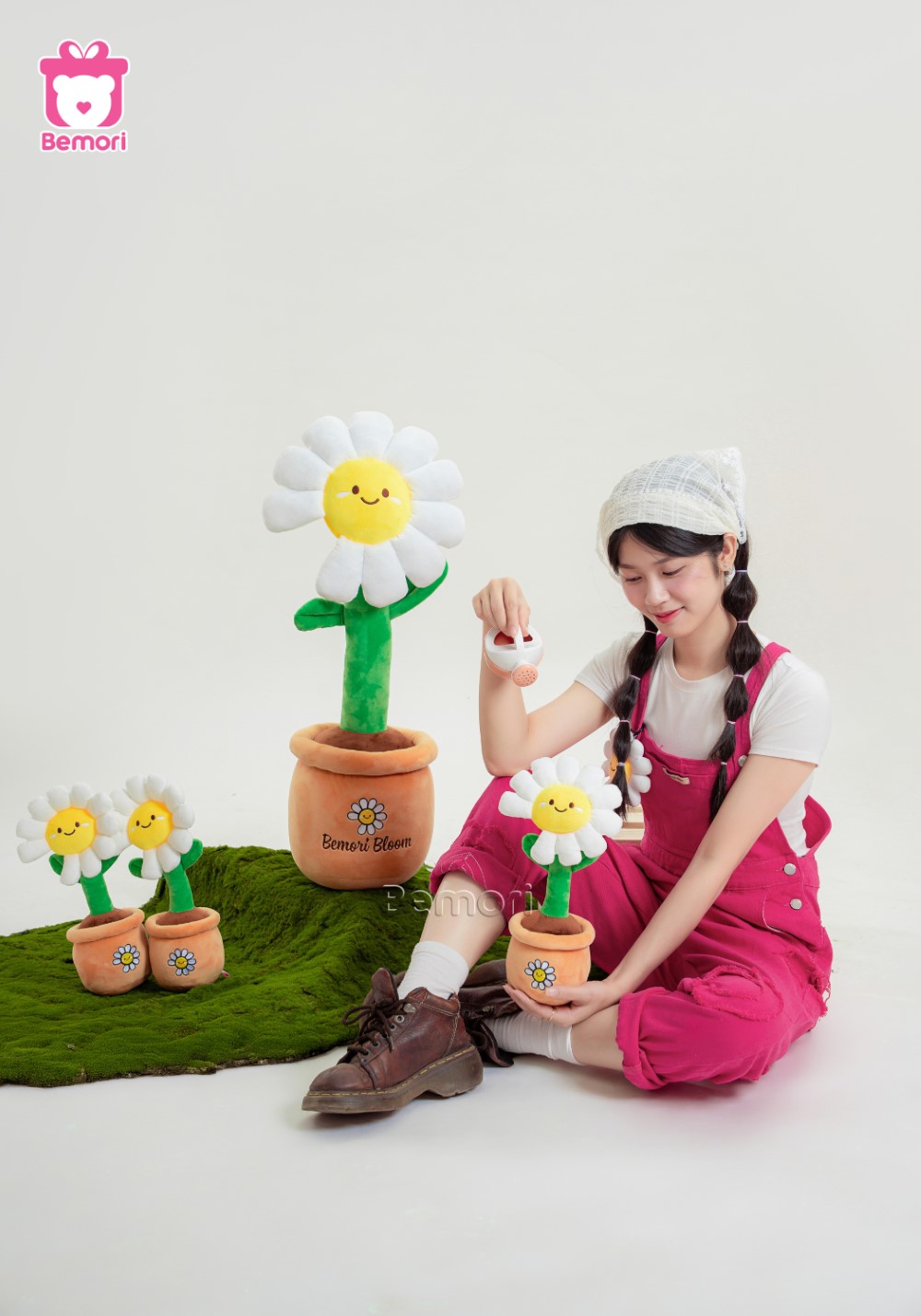 Hoa Daisy Bemori nhỏ xinh nhưng khiến lòng ai rung rinh