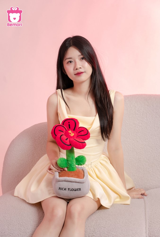 Chậu Hoa Bông Đồng Tiền Rich Flower