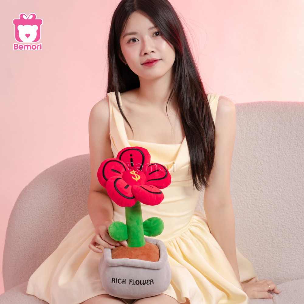 Chậu Hoa Bông Đồng Tiền Rich Flower