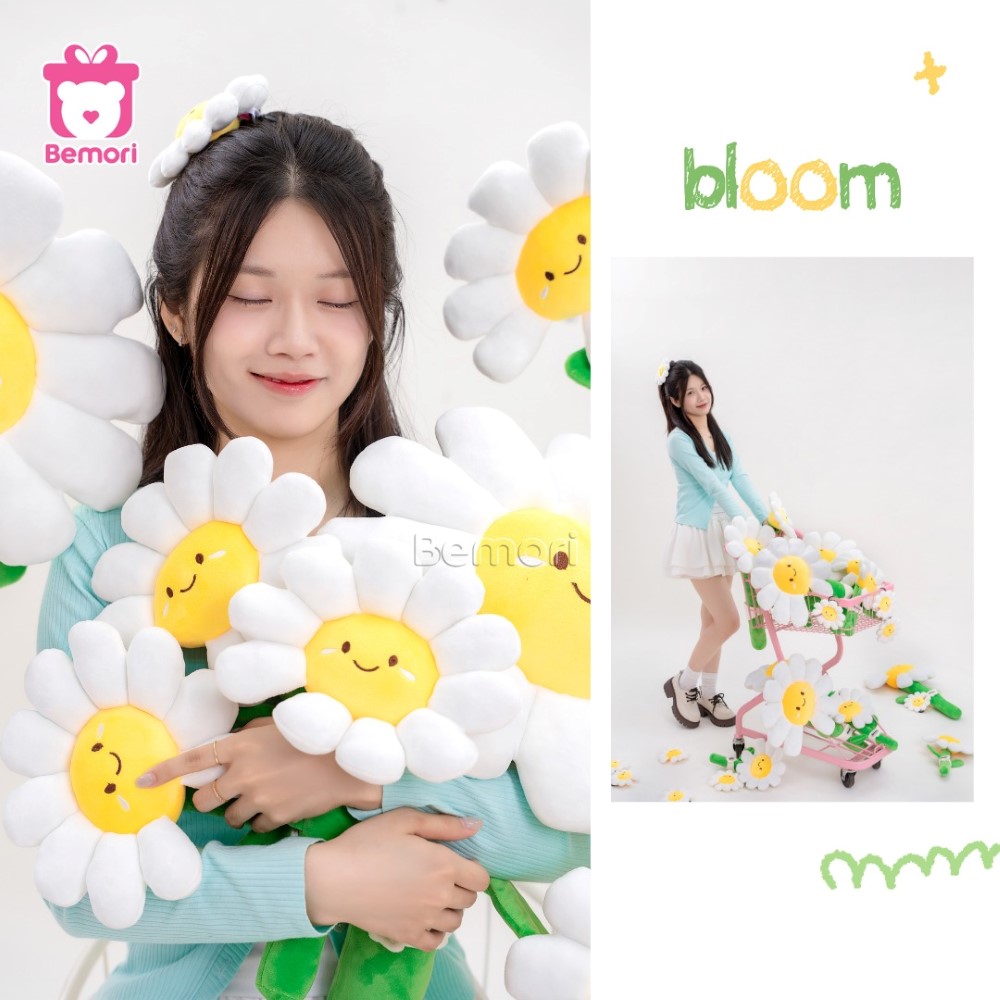 Daisy Flower ôm trọn cả vườn nắng, mang về điều dịu dàng