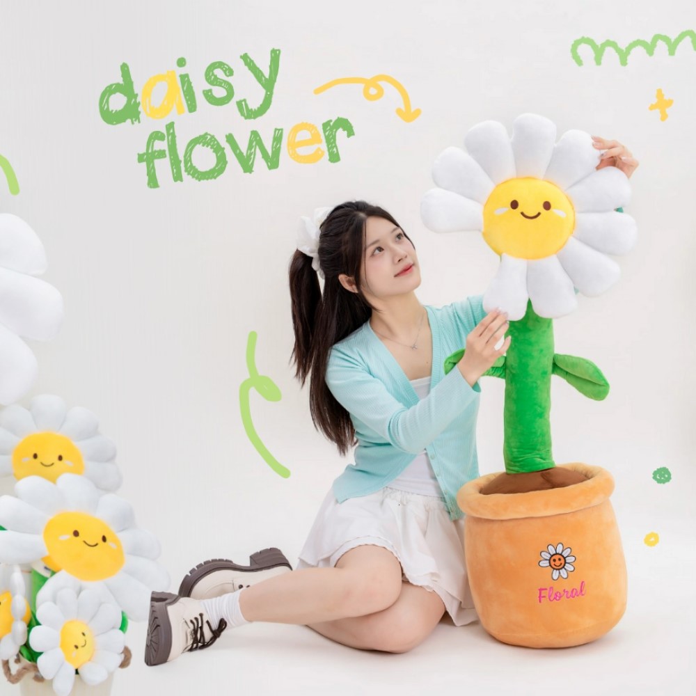 Daisy Flower - Bó hoa bông khổng lồ từ Bemori