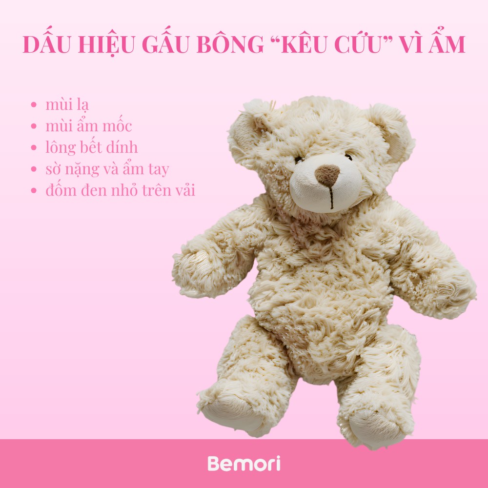 Dấu hiệu gấu bông đang “kêu cứu” vì ẩm