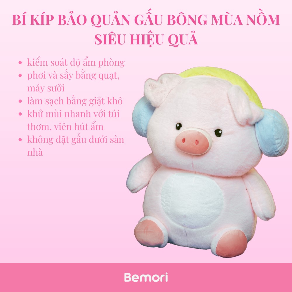Bí kíp bảo quản gấu bông mùa nồm hiệu quả