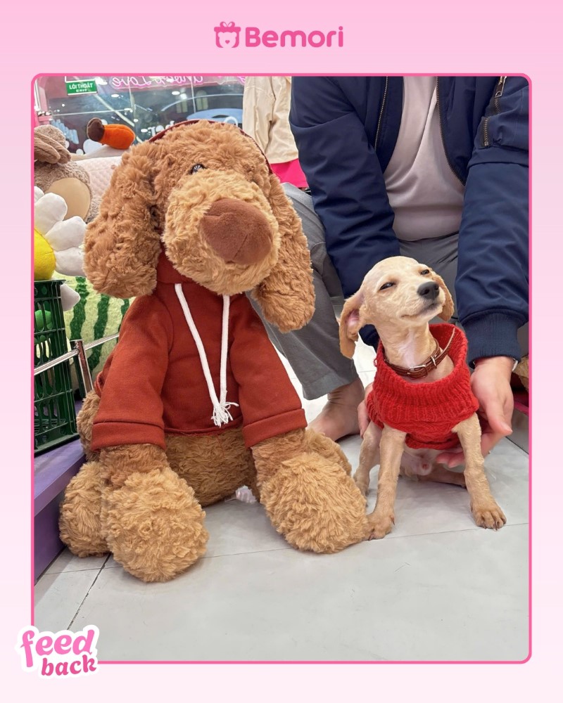 Nhân đôi sự dễ thương với chú chó bông tại shop gấu bông Bemori