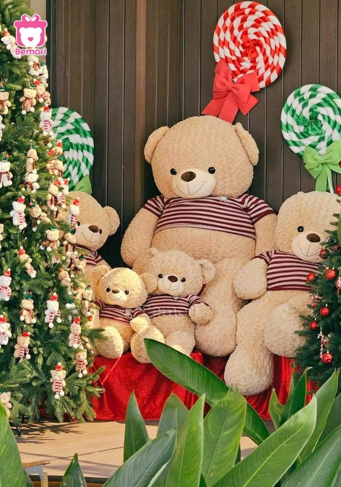 Gấu bông Teddy cực hợp decor quán cà phê