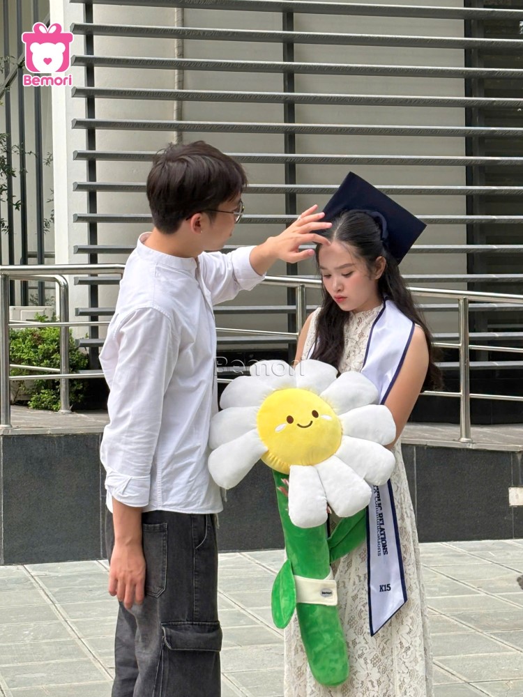 Khi daisy bông trở thành lời tỏ tình đầu tiên