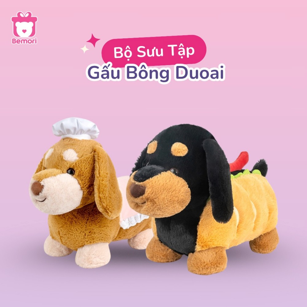 Bộ sưu tập chó Dachshund lạp xưởng