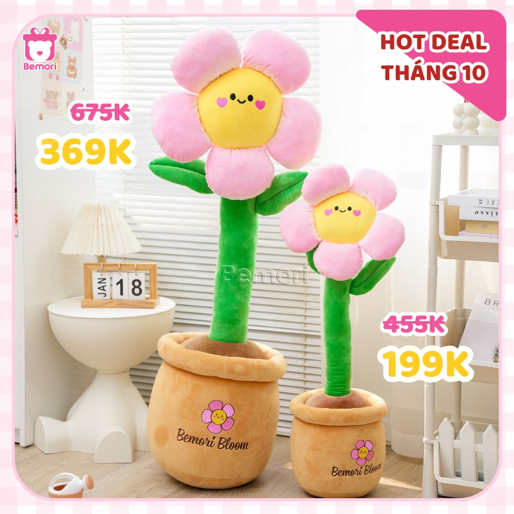 Ưu đãi chậu hoa bông mặt cười chỉ từ 199K