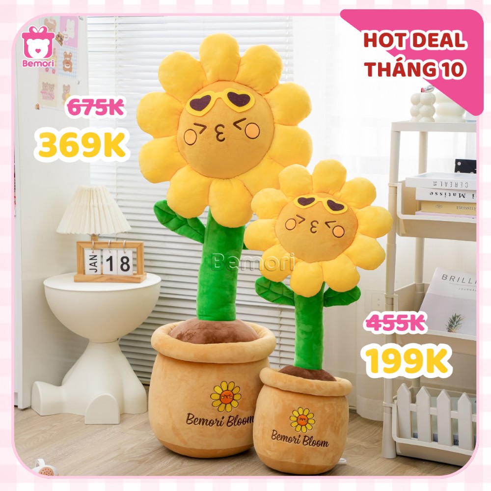 Ưu đãi chậu hoa bông hướng dương chỉ từ 199K