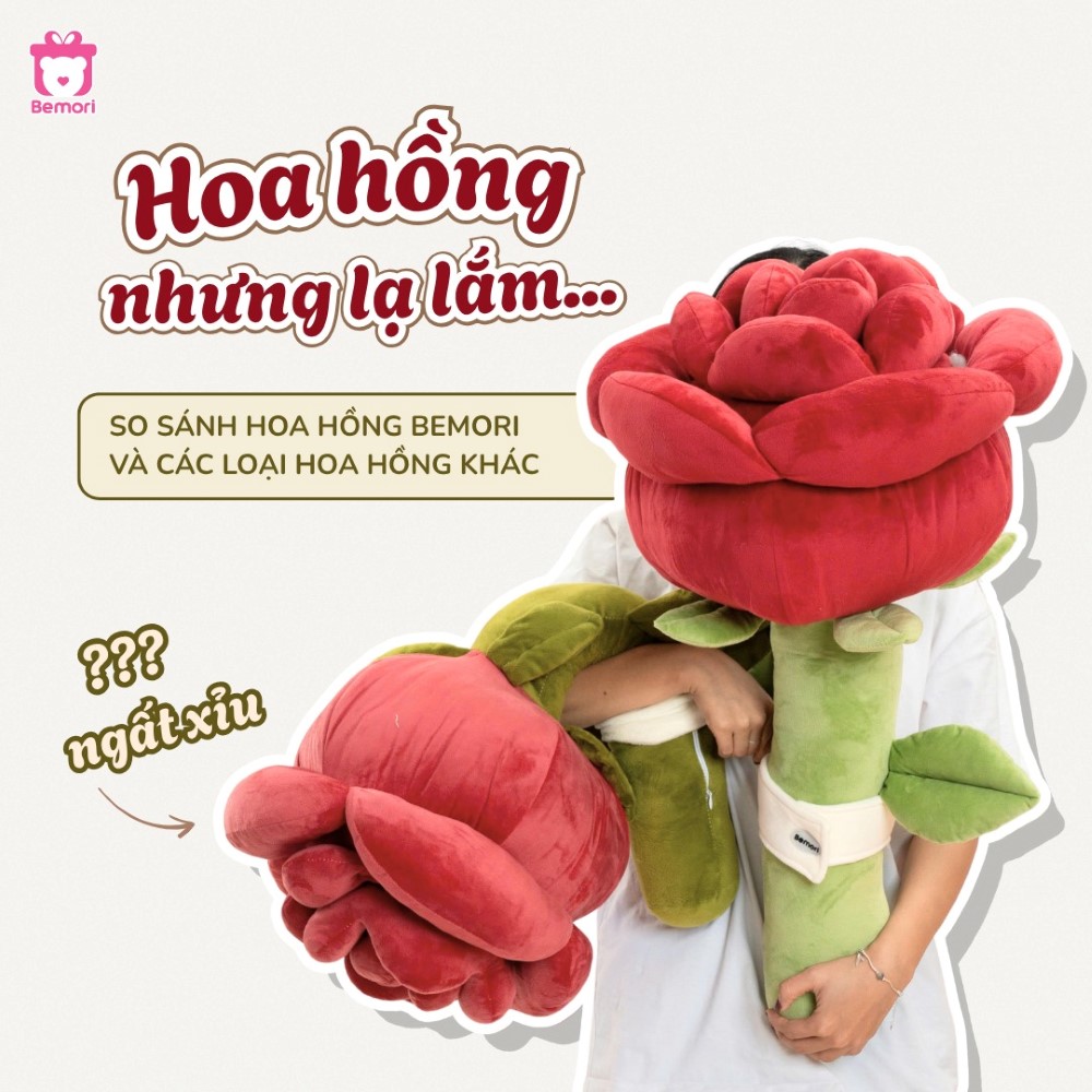 So sánh bông hồng khổng lồ Bemori và các loại hoa hồng khác
