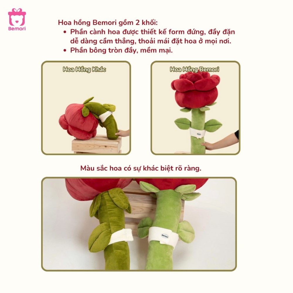 Hoa hồng khổng lồ Bemori bền đẹp và cứng cáp