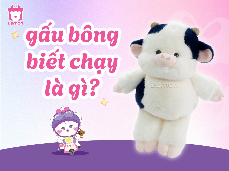 Gấu Bông Biết Chạy Là Gì