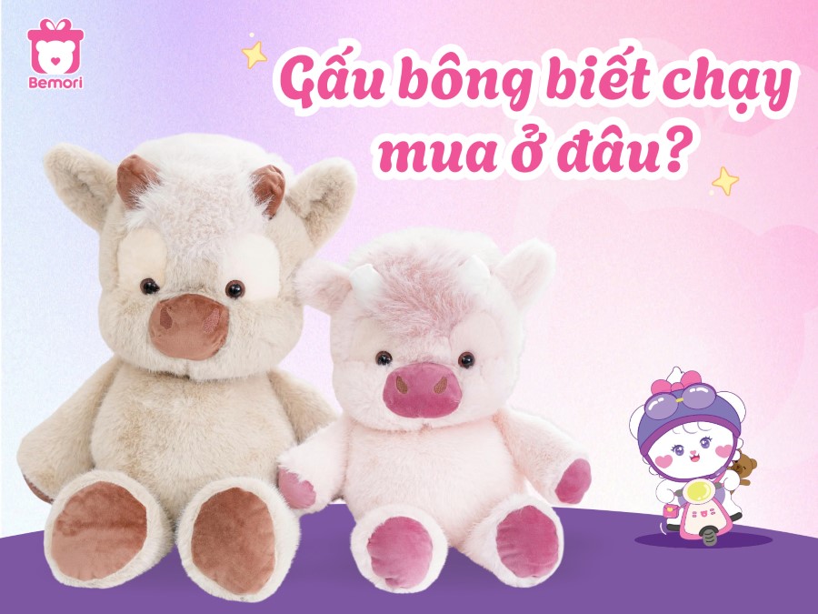 Gấu Bông Biết Chạy Mua Ở Đâu