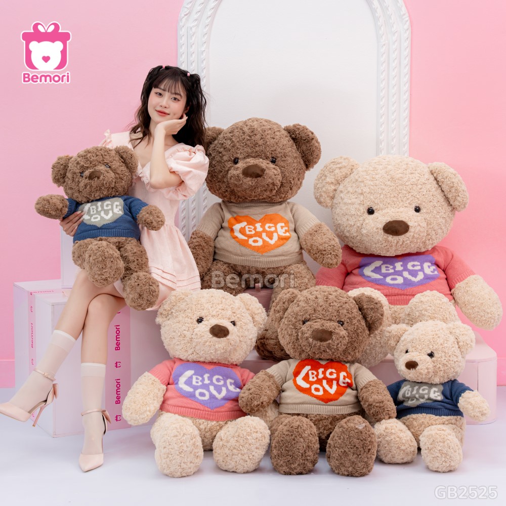 Teddy Áo Big Love là món quà từ trái tim