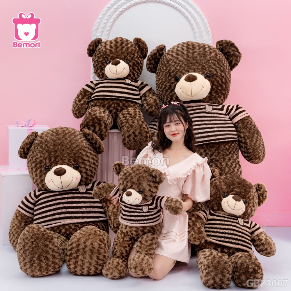 Teddy Socola là một món quà cho cô gái yêu cái đẹp và ngọt ngào