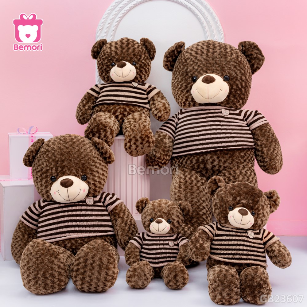 Gấu Bông Teddy Socola đa dạng kích thước