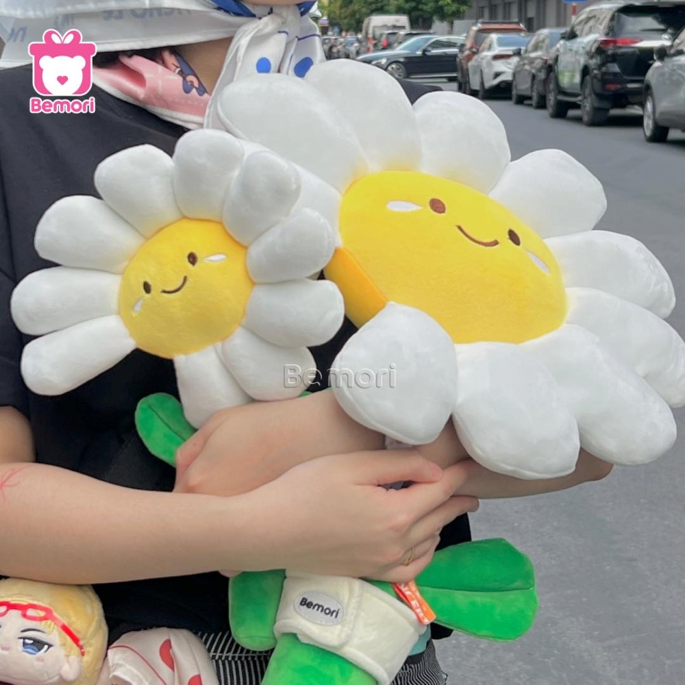 Bó Hoa Daisy Bông