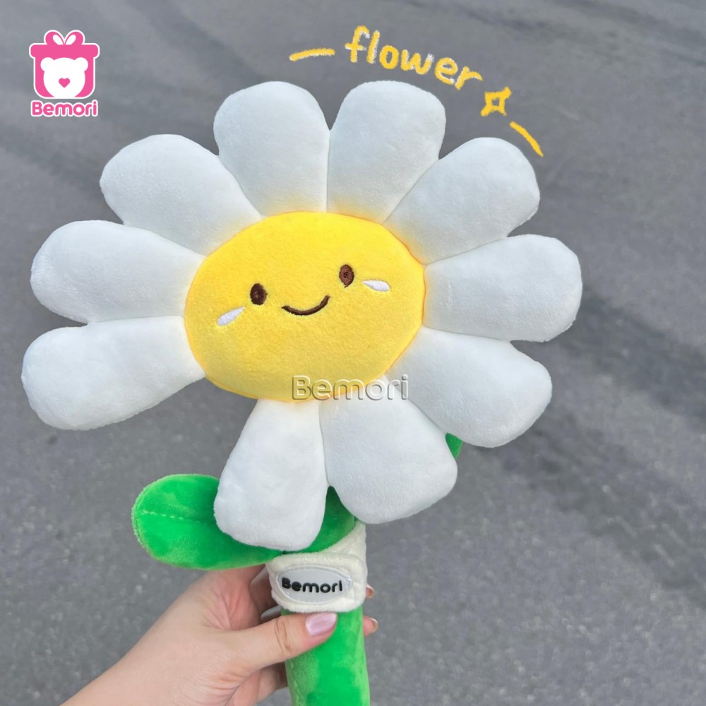 Bó Hoa Daisy Bông
