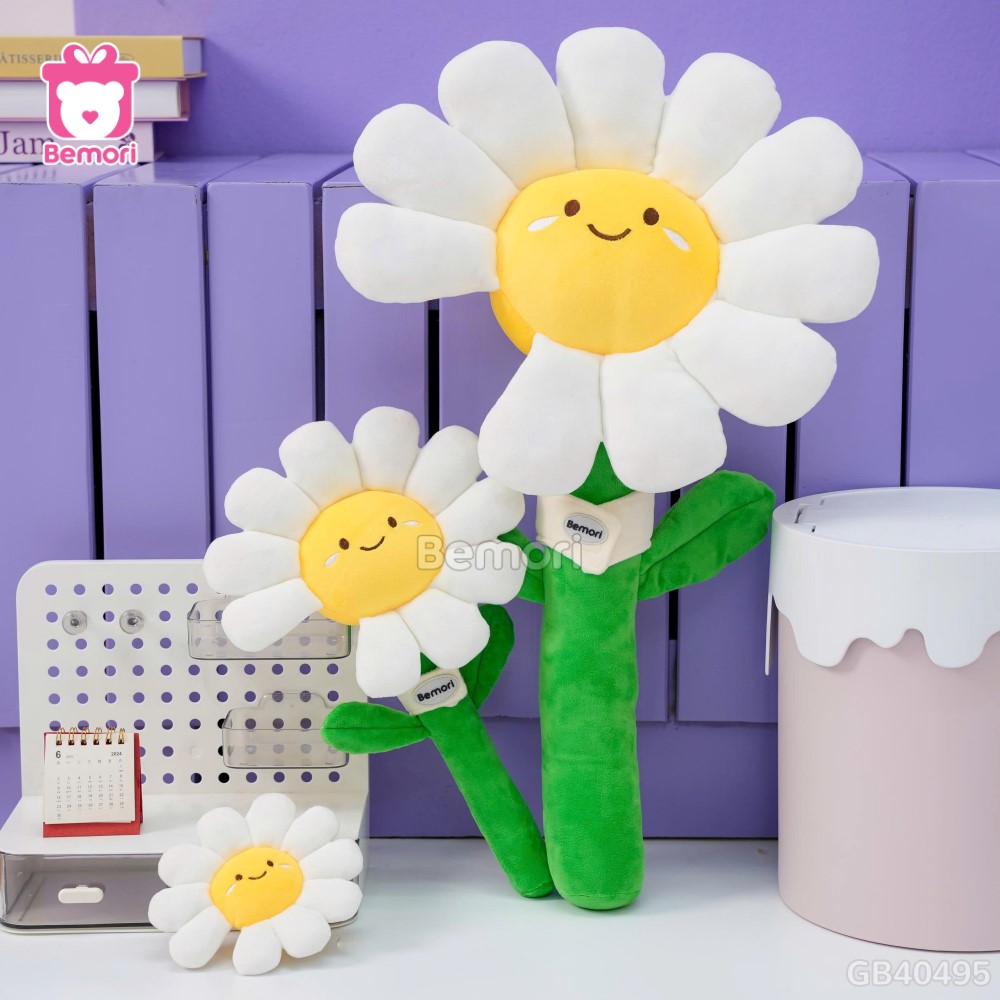 Bó Hoa Daisy Bông