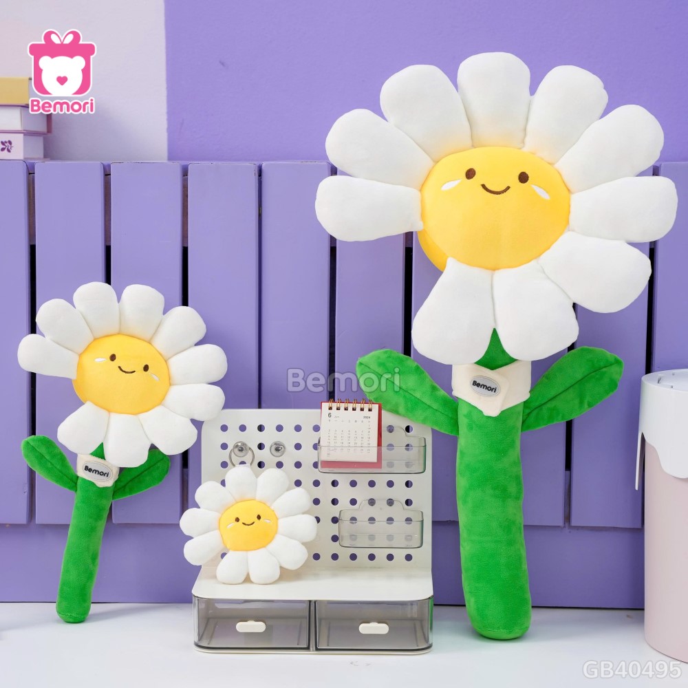Bó Hoa Daisy Bông