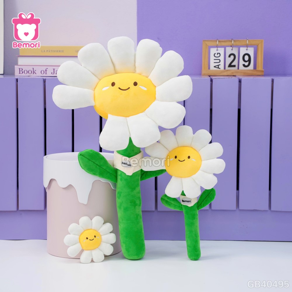 Bó Hoa Daisy Bông