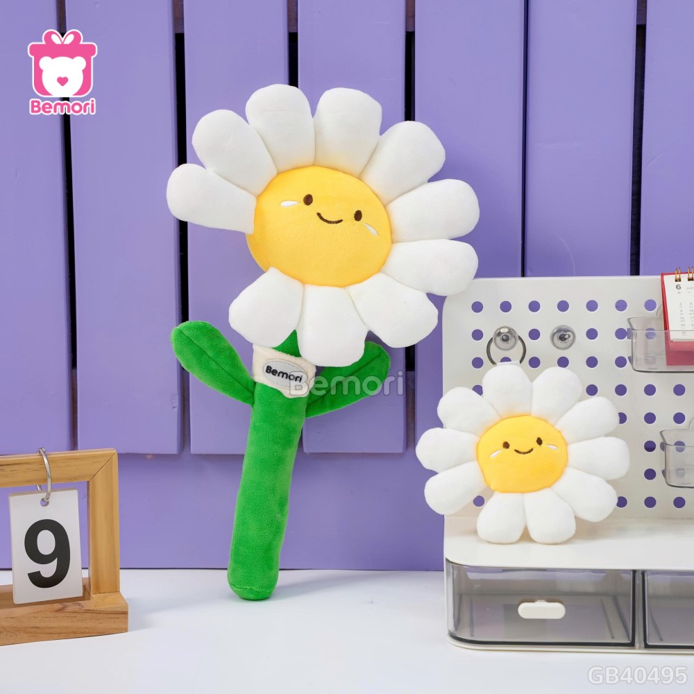 Bó Hoa Daisy Bông
