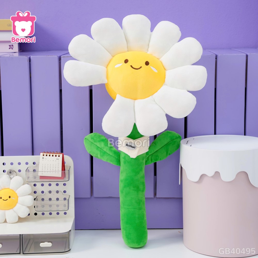 Bó Hoa Daisy Bông