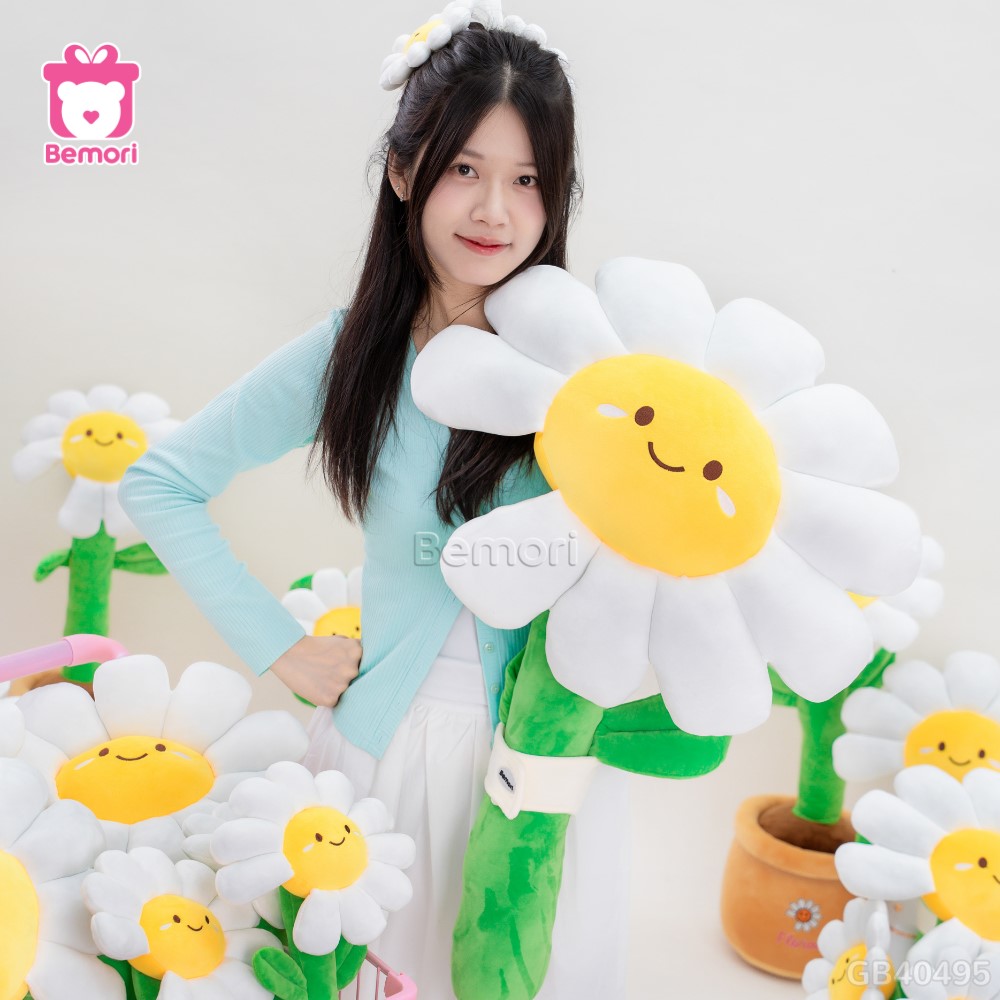 Bó Hoa Daisy Bông