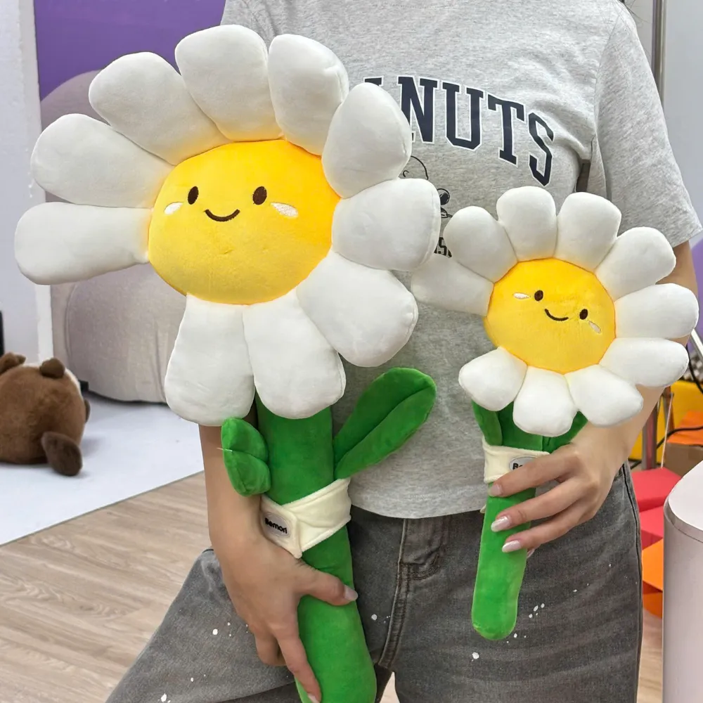 Bó Hoa Daisy Bông
