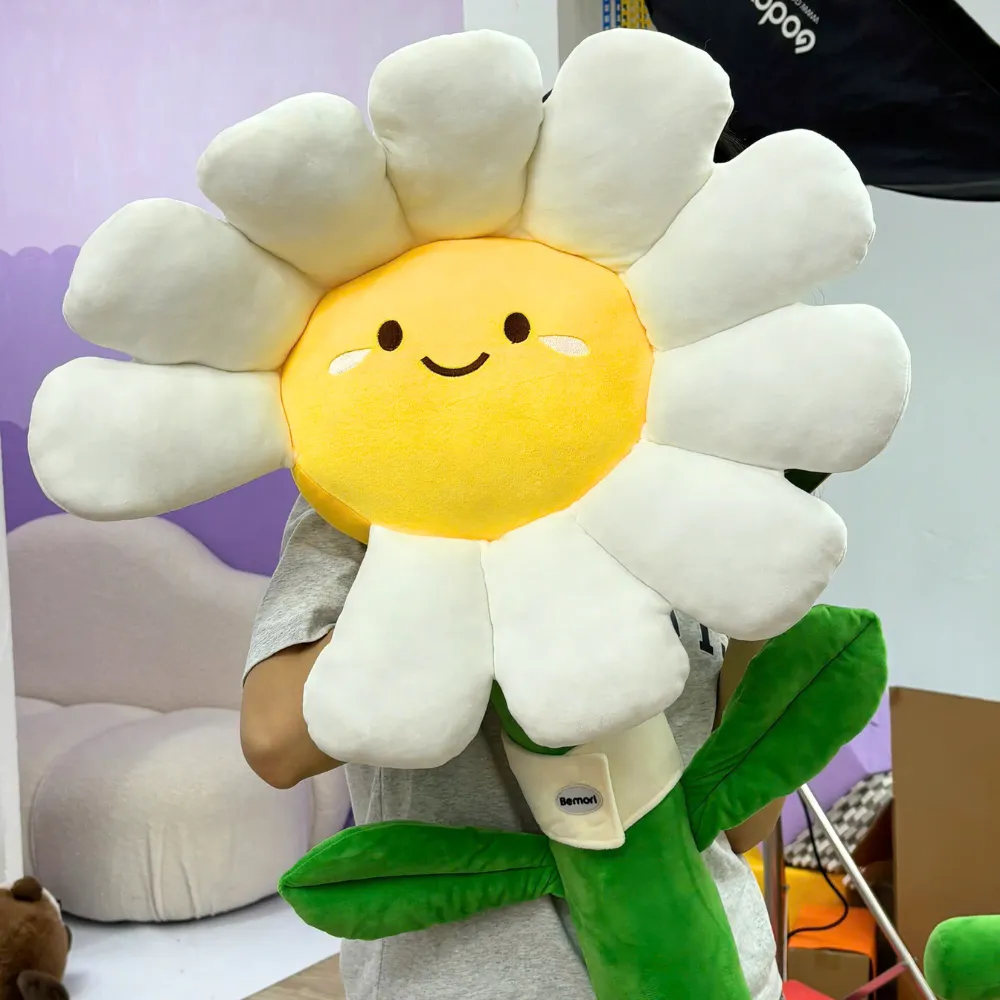Bó Hoa Daisy Bông