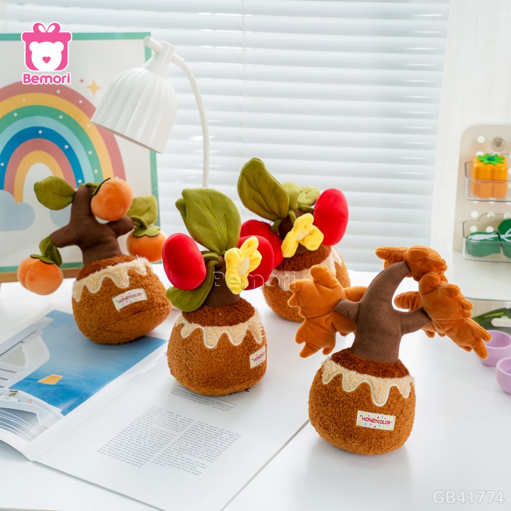 Chậu Cây Bonsai Bông