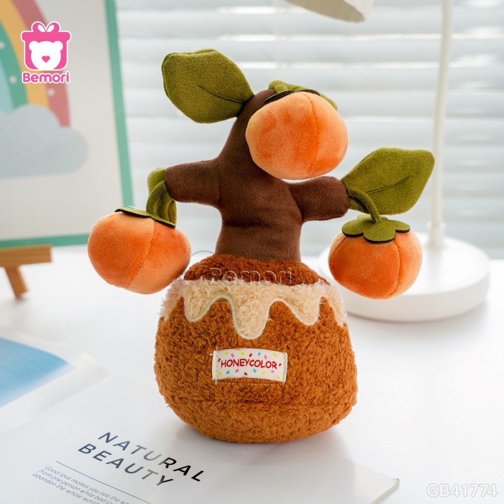 Chậu Cây Bonsai Bông