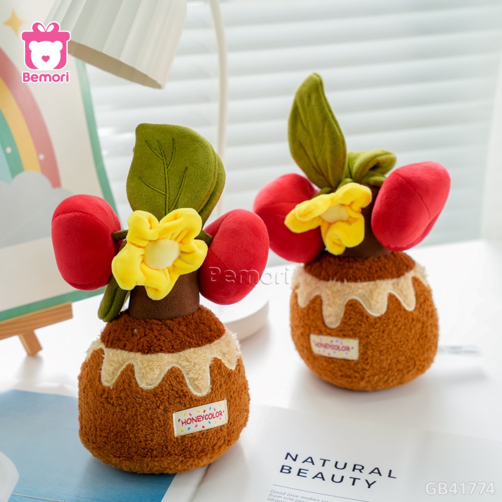 Chậu Cây Bonsai Bông