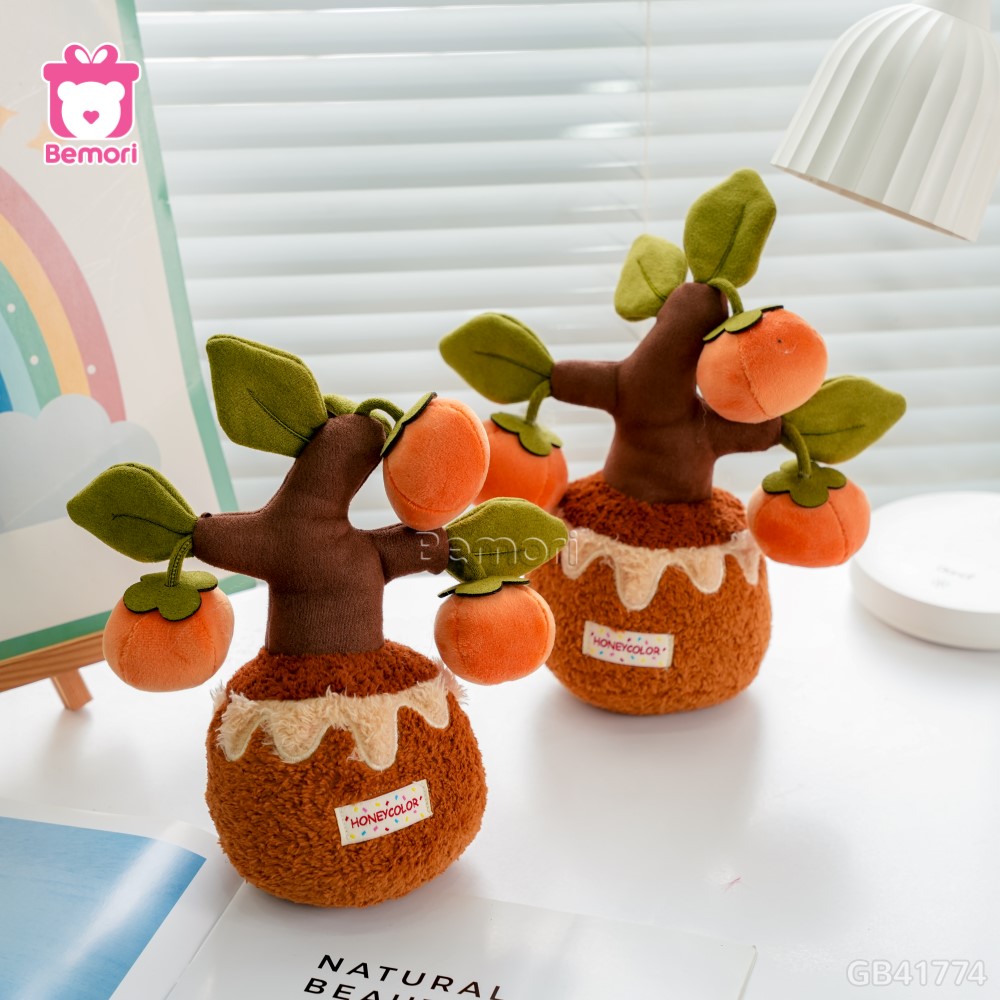 Chậu Cây Bonsai Bông