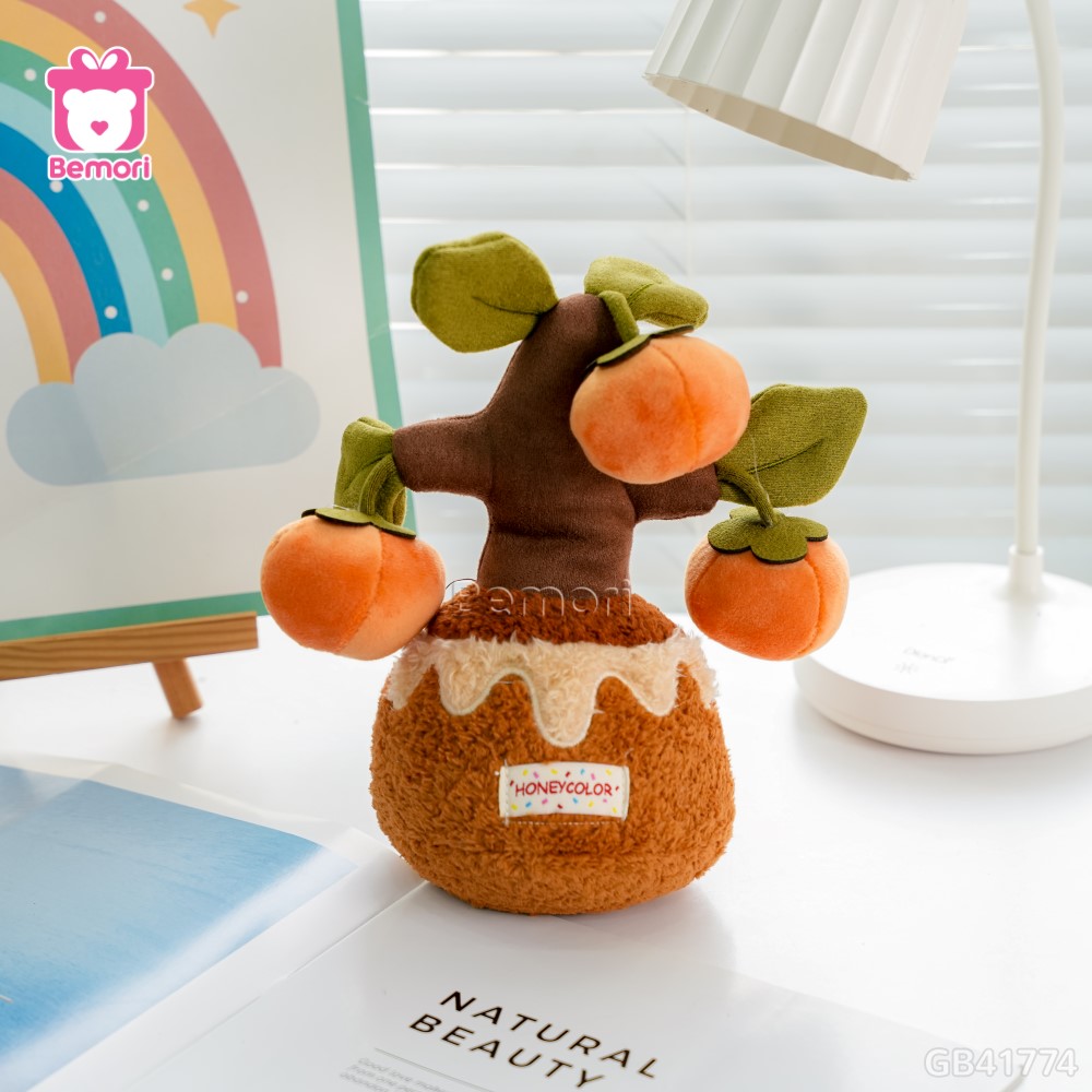 Chậu Cây Bonsai Bông