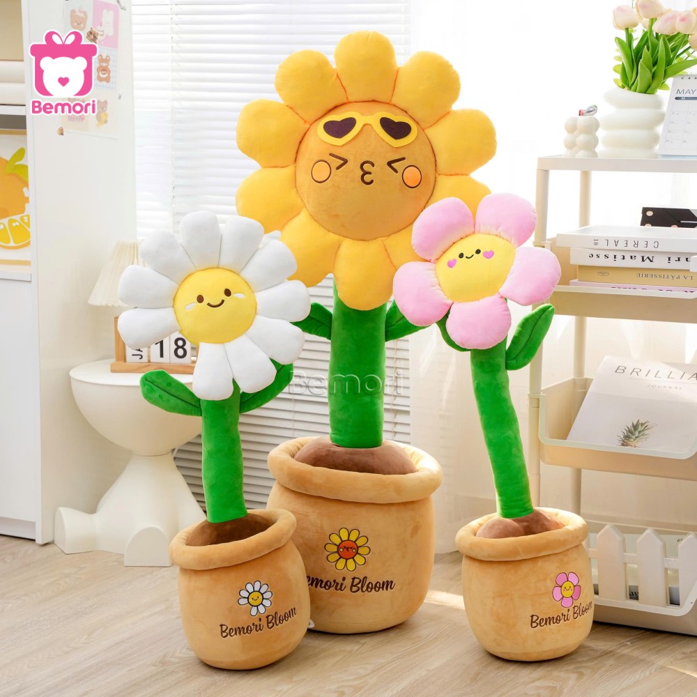 Chậu hoa bông làm bừng sáng cả không gian phòng nhà bạn