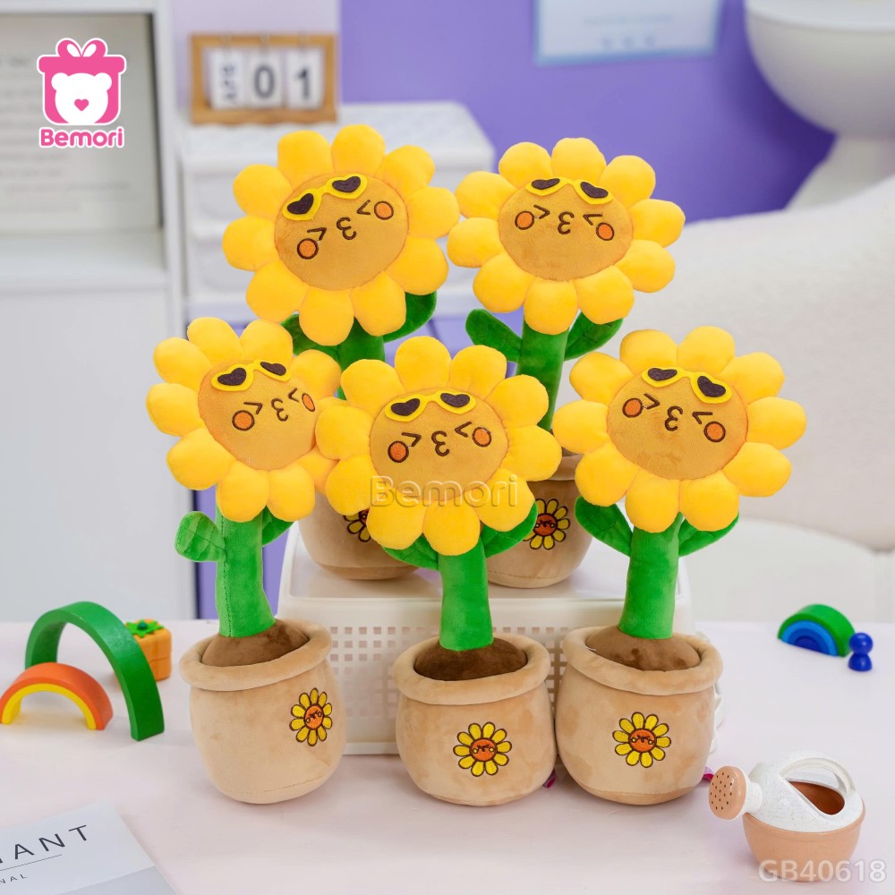 Chậu Hoa Bông Hướng Dương