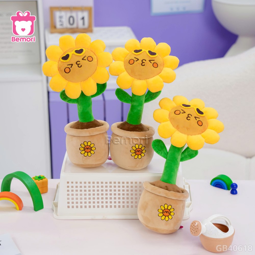 Chậu Hoa Bông Hướng Dương