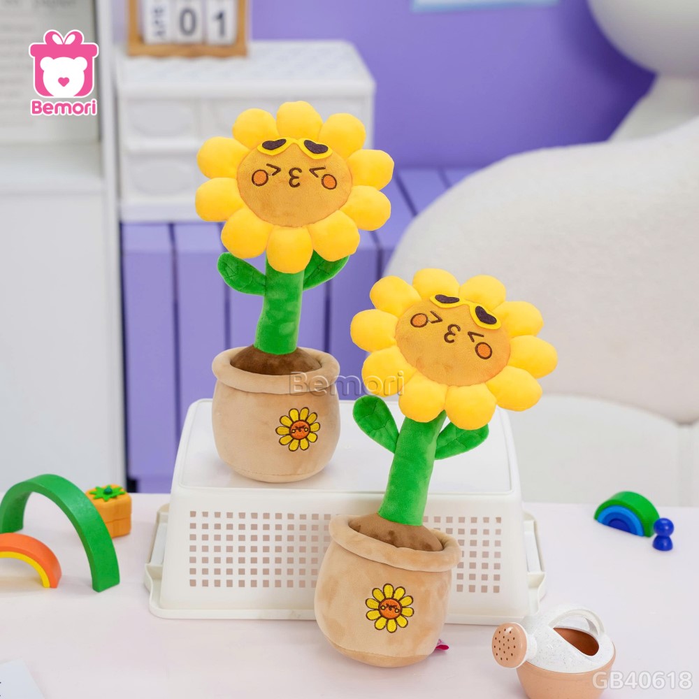 Chậu Hoa Bông Hướng Dương