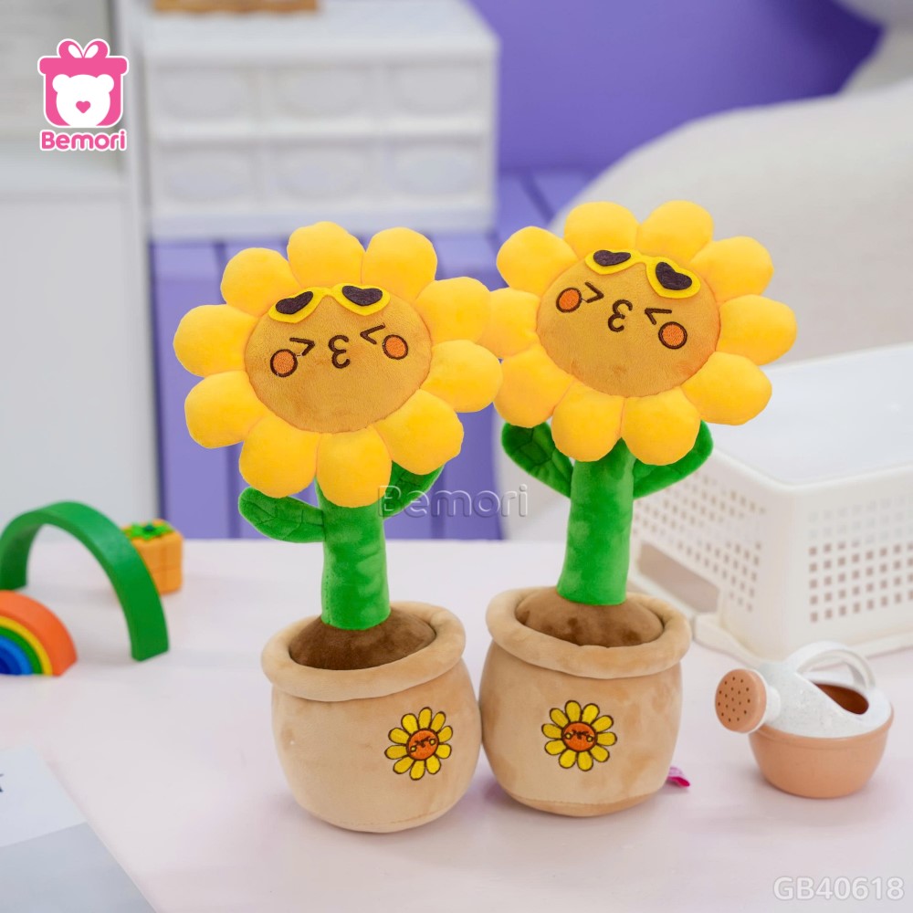 Chậu Hoa Bông Hướng Dương