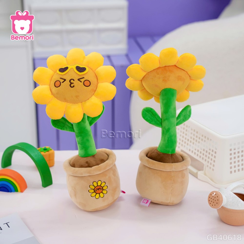 Chậu Hoa Bông Hướng Dương