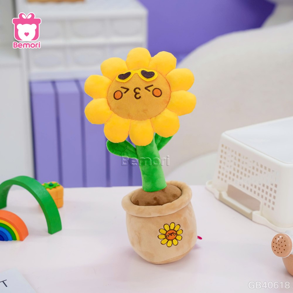Chậu Hoa Bông Hướng Dương