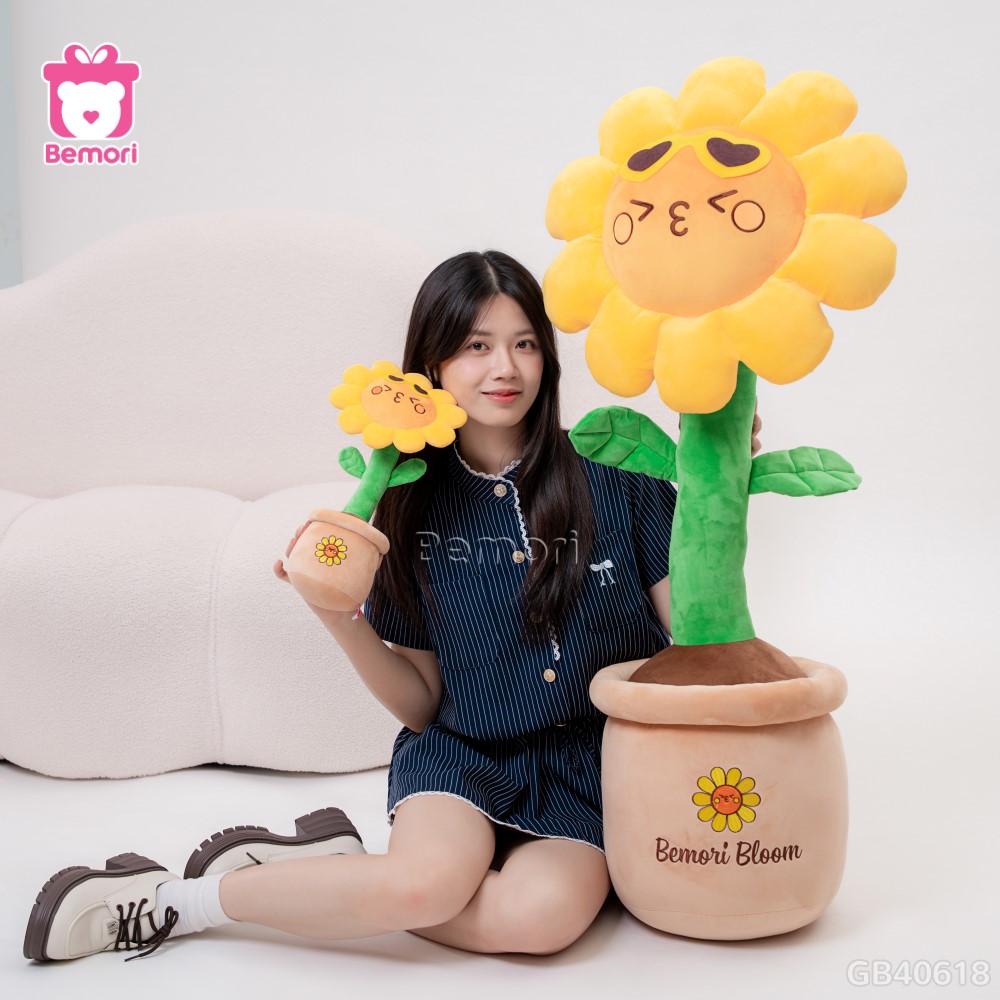 Chậu Hoa Bông Hướng Dương