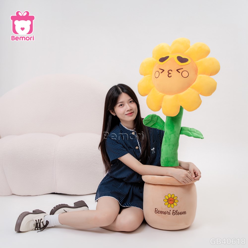 Chậu Hoa Bông Hướng Dương
