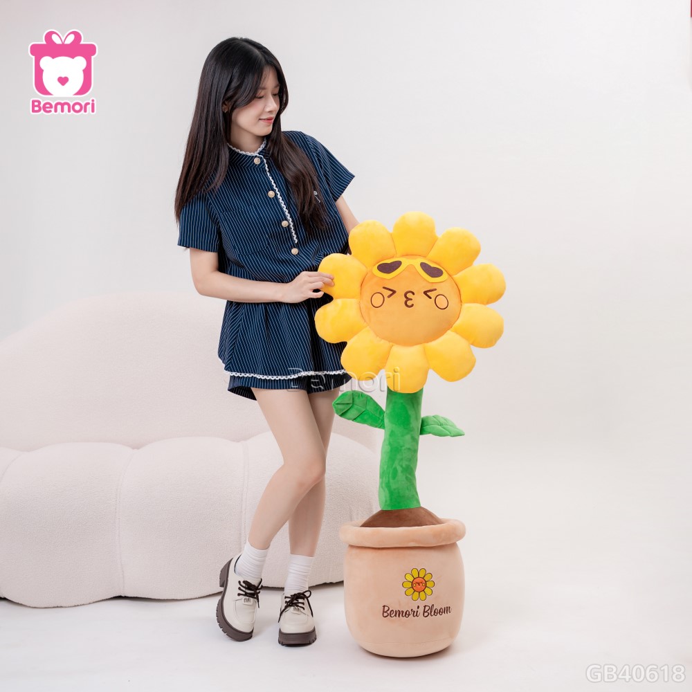 Chậu Hoa Bông Hướng Dương