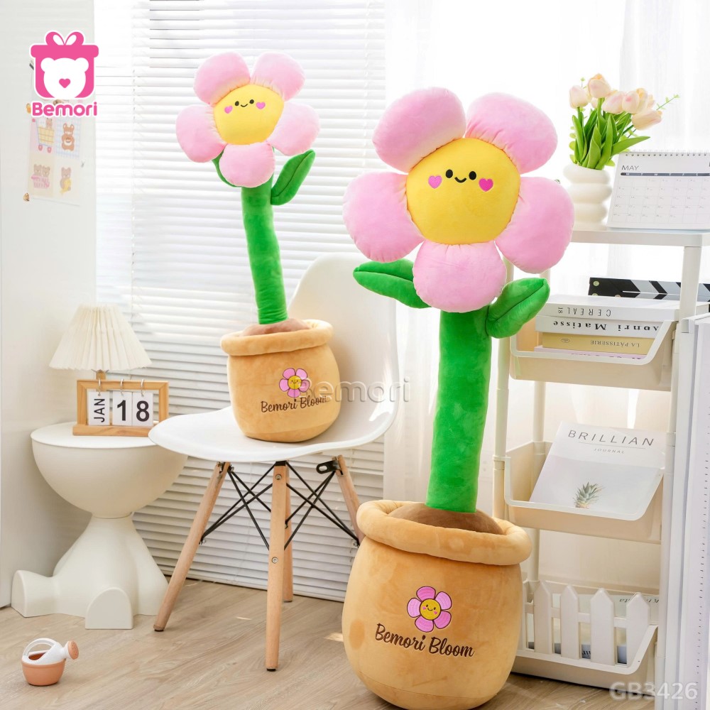 Chậu Hoa Mặt Cười Bông