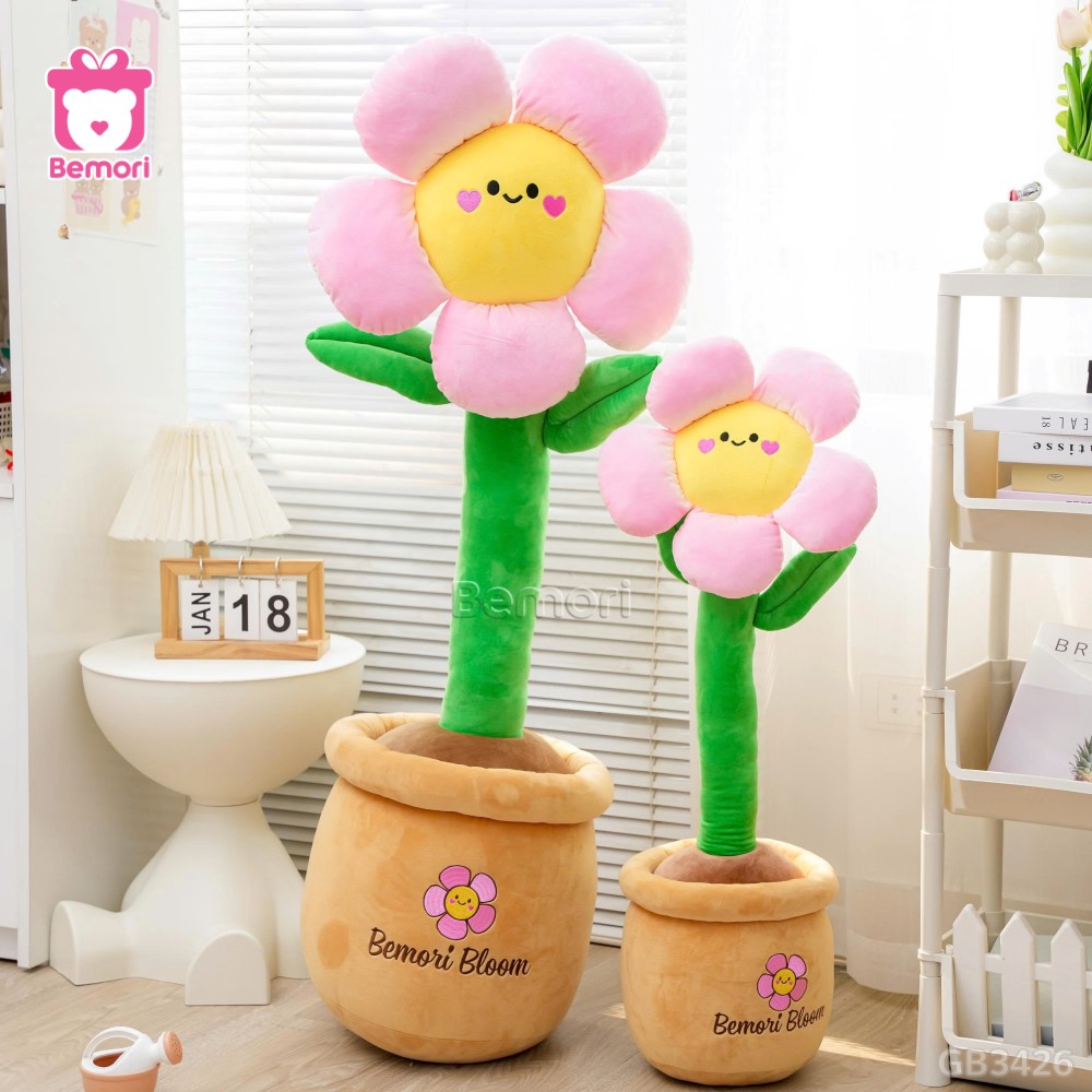 Chậu hoa bông mặt cười tạo năng lượng tích cực