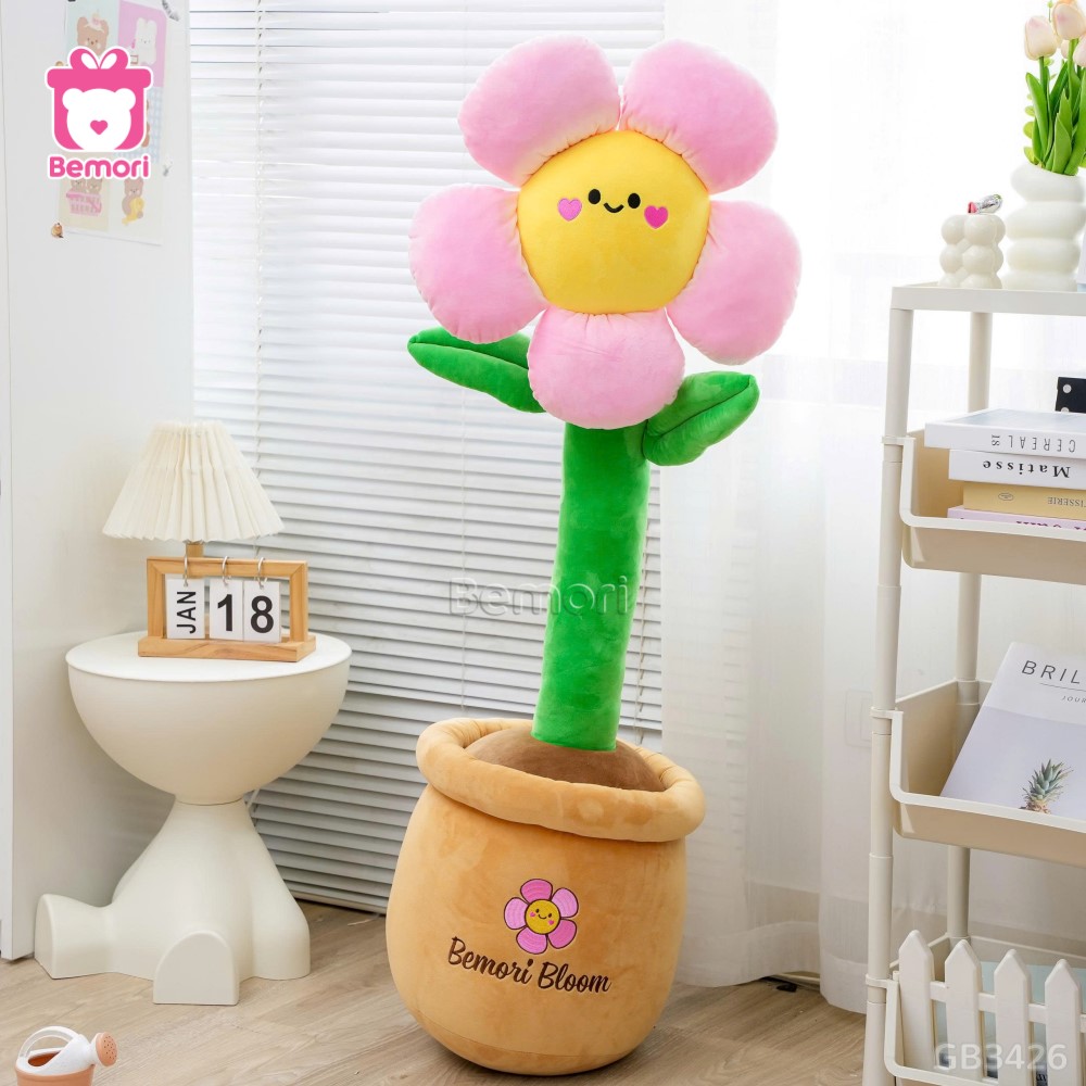 Chậu Hoa Mặt Cười Bông